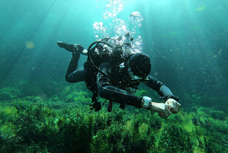 Cenote Cavern Diving in Playa del Carmen Cenote Cavern Diving in Playa del Carmen