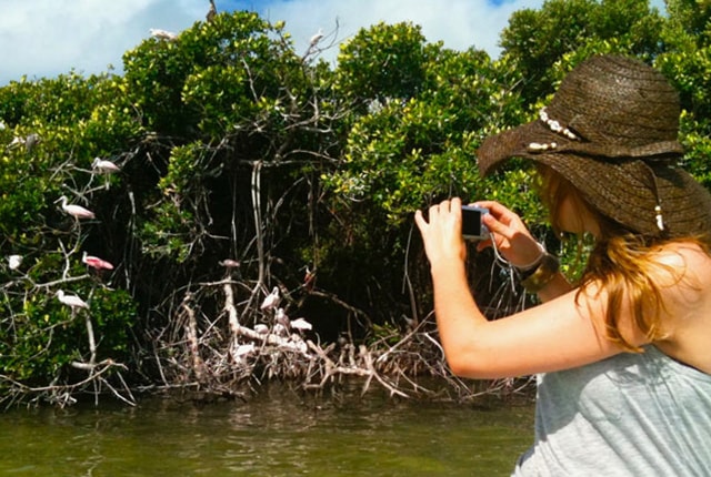 explore the mangrove playa del carmen