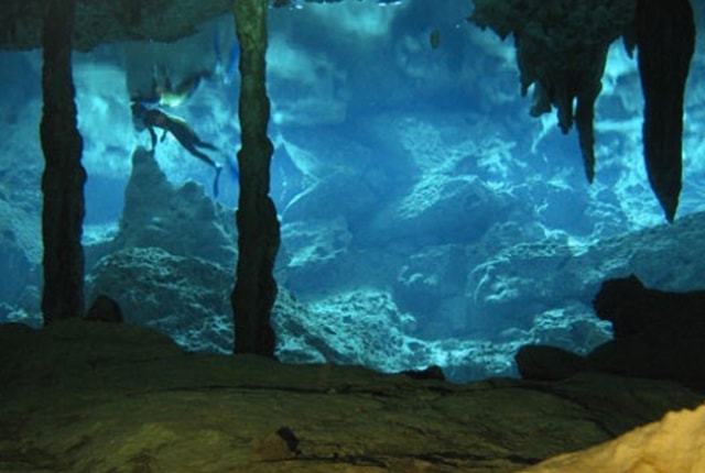 the beauty of the cenotes in mexico