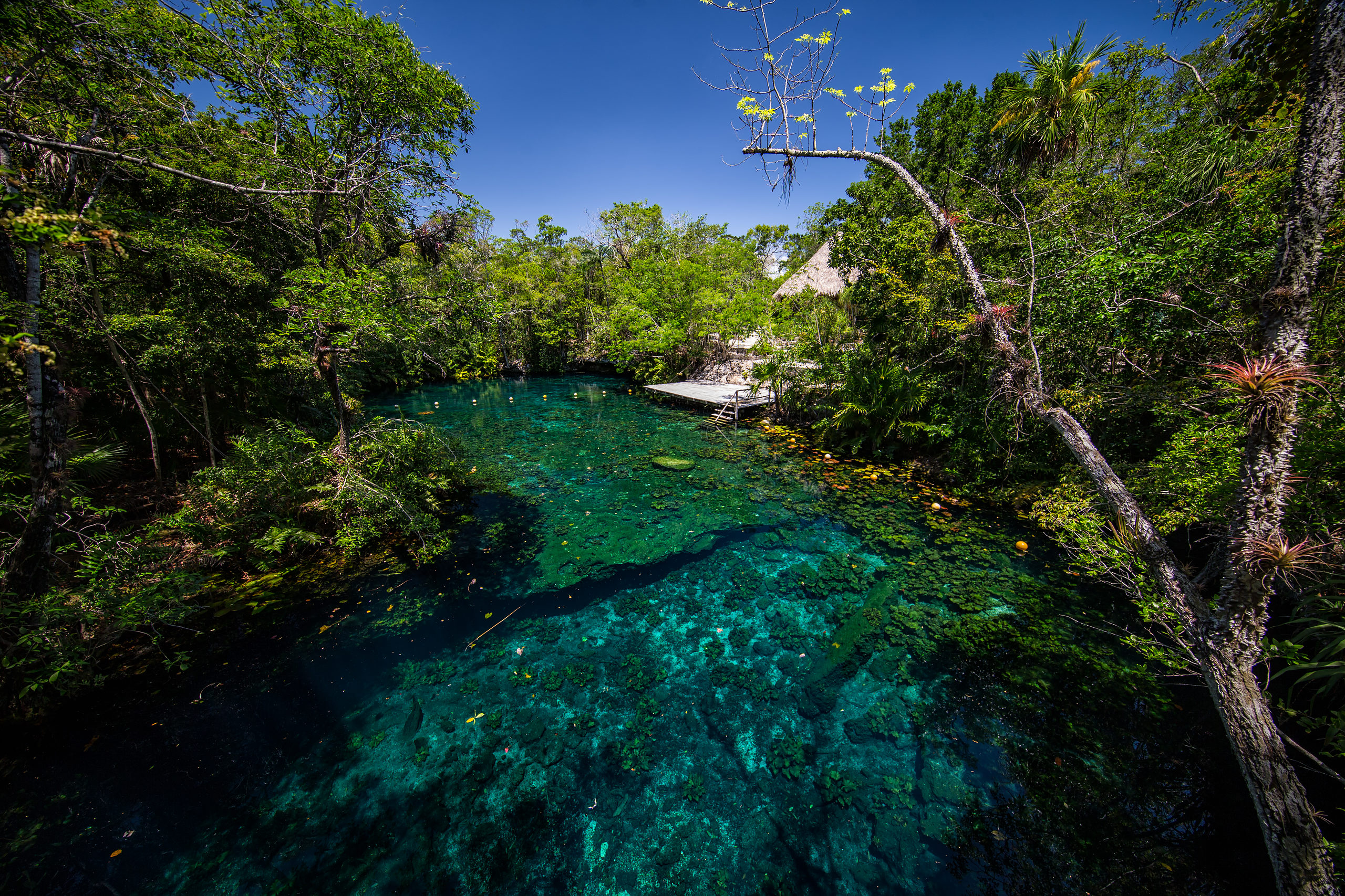 Plongée dans les cenotes Playa del Carmen