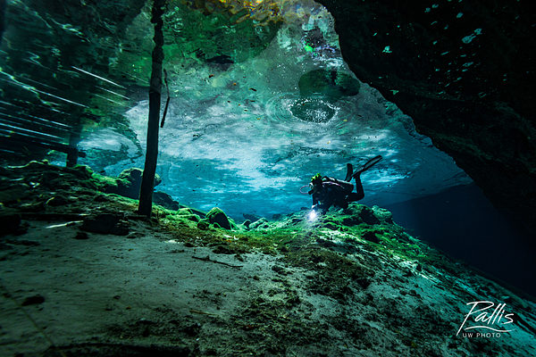 cenote diving in playa del carmen