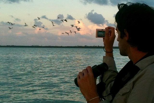 Photography and bird seeing in Mexico