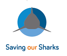 Saving our Sharks Playa del Carmen