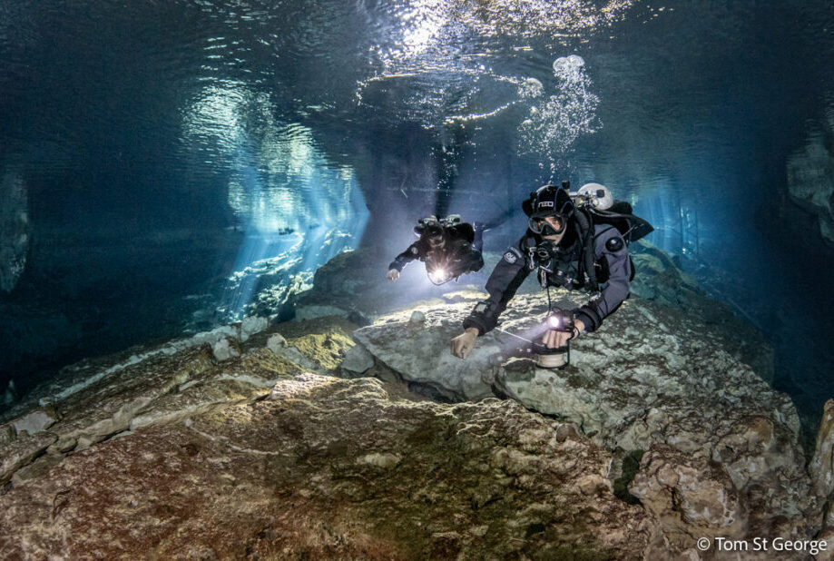 Cenote cave diving in Playa del Carmen