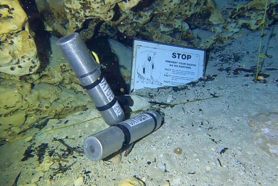 Cenote cave diving in Playa del Carmen