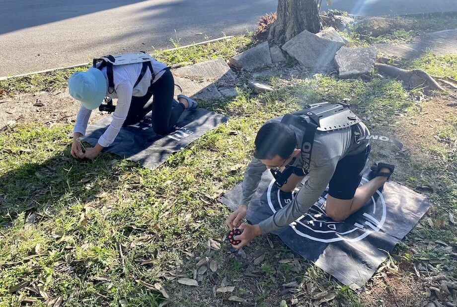 Cenote cave diving in Playa del Carmen